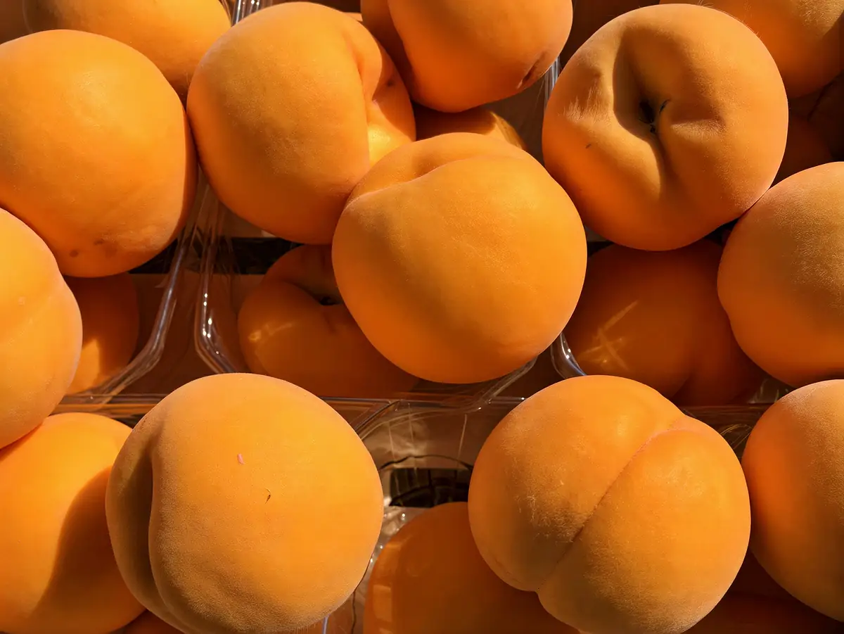 Pêches de la variété Borneo